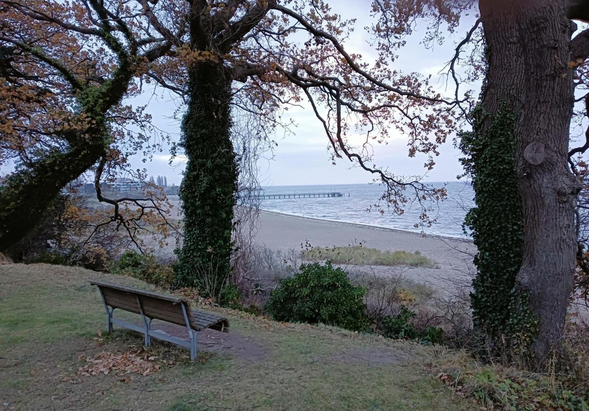 Fewo Muschelgetuschel Im Prinz Hamlet - Direkte Strandlage Pelzerhaken Exteriör bild